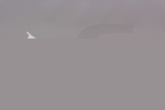 Doprovodný obrázek